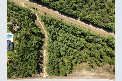 15735 Wooded Trail Way, Willis, TX 77378 - Photo 8