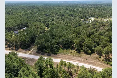15735 Wooded Trail Way, Willis, TX 77378 - Photo 6