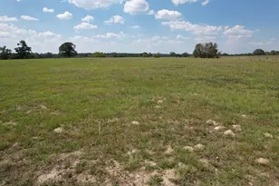 Tbd-B County Road 435, Frankston, TX 75763 - Photo 4