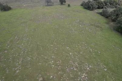 Tbd-B County Road 435, Frankston, TX 75763 - Photo 12