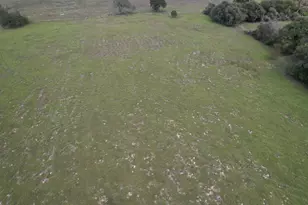 Tbd-B County Road 435, Frankston, TX 75763 - Photo 12