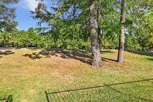 25454 Vinechase Dr, Porter, TX 77365 - Photo 10