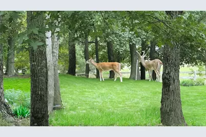 8912 Forest Lake Drive, Montgomery, TX 77316 - Photo 50