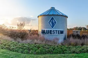 3049 Wood Lily Dr, Brookshire, TX 77423 - Photo 14