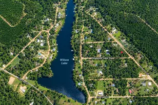 00 Dogwood Lake Dr, Livingston, TX 77351 - Photo 1