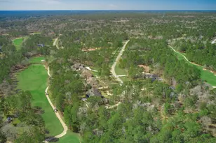 1010 Towering Oaks St, Magnolia, TX 77355 - Photo 48