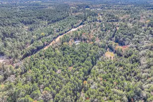 300 L Green Rd, Cleveland, TX 77328 - Photo 34