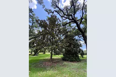 116 Balsam Street, Lake Jackson, TX 77566 - Photo 14
