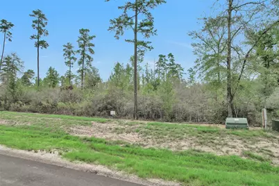 168 Great Plains Way, New Waverly, TX 77358 - Photo 6