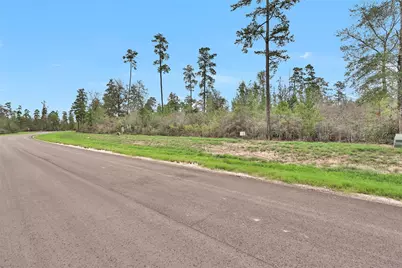 168 Great Plains Way, New Waverly, TX 77358 - Photo 10