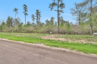 168 Great Plains Way, New Waverly, TX 77358 - Photo 4