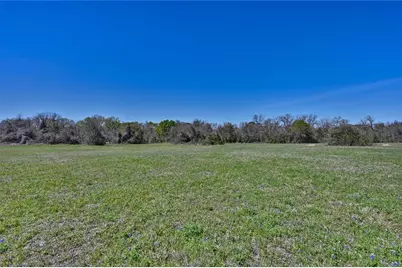 Tbd Fm 2, Navasota, TX 77868 - Photo 4