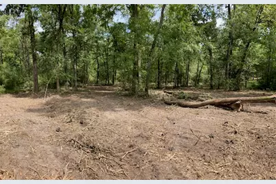 400 Pine Forest Acres, Trinity, TX 75862 - Photo 2