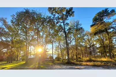 400 Pine Forest Acres, Trinity, TX 75862 - Photo 4