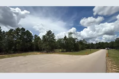 7625 Trinity Pines Dr, Montgomery, TX 77316 - Photo 6