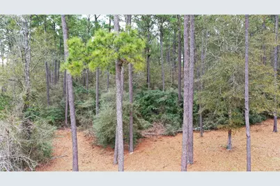 Tbd Lone Star Rd, Navasota, TX 77868 - Photo 10