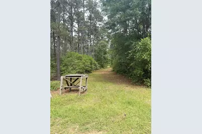 Tbd Lone Star Rd, Navasota, TX 77868 - Photo 6