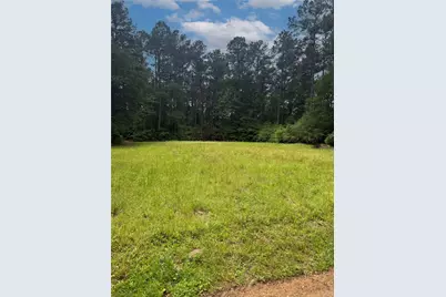 Tbd Lone Star Rd, Navasota, TX 77868 - Photo 2