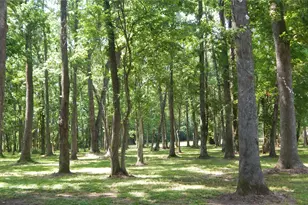 142 Co Rd 1332, Liberty, TX 77575 - Photo 24