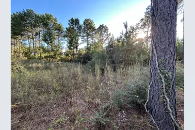Tract 12 Fm 230, Lovelady, TX 77854 - Photo 6