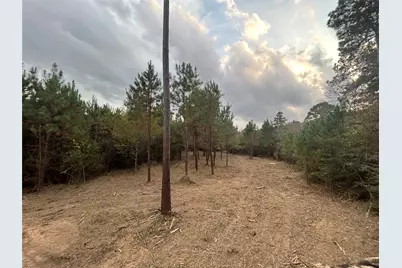 Tract 12 Fm 230, Lovelady, TX 77854 - Photo 4