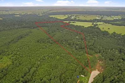 Tract 12 Fm 230, Lovelady, TX 77854 - Photo 14