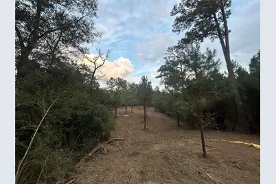Tract 12 Fm 230, Lovelady, TX 77854 - Photo 2