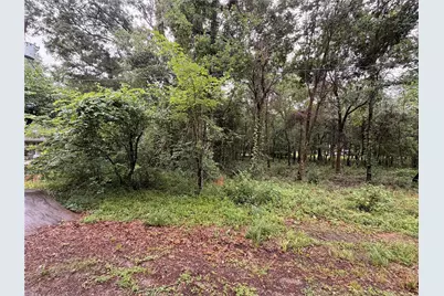 5265 Pecan Tree Lane, Montgomery, TX 77316 - Photo 2