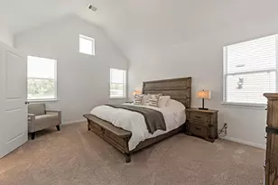 343 E Coralburst Loop, Montgomery, TX 77316 - Photo 22