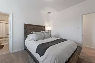 343 E Coralburst Loop, Montgomery, TX 77316 - Photo 30