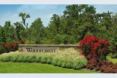 343 E Coralburst Loop, Montgomery, TX 77316 - Photo 44