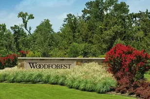 343 E Coralburst Loop, Montgomery, TX 77316 - Photo 44