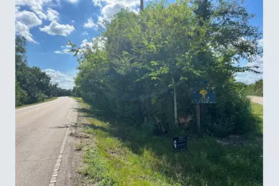 0 Cr 814 Road, Brazoria, TX 77422 - Photo 1