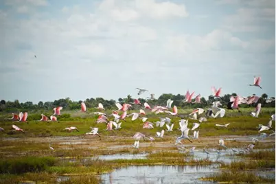 49 Shell Key, Hitchcock, TX 77563 - Photo 12