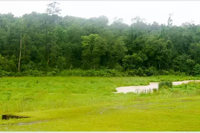 317 Hickory Drive E, Livingston, TX 77351 - Photo 32