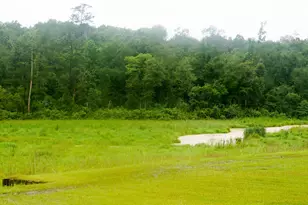 317 Hickory Dr E, Livingston, TX 77351 - Photo 32