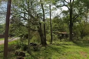 Tbd Peach Creek, New Caney, TX 77357 - Photo 1