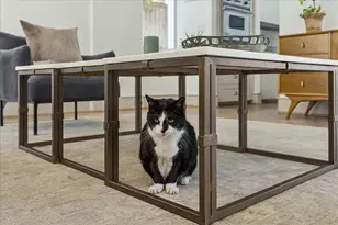 1807 Albans Rd, Houston, TX 77005 - Photo 12