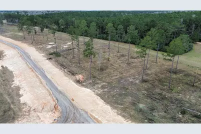 0 Anna Grace, Livingston, TX 77351 - Photo 2