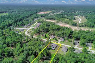 117 Jim Hall Ln, New Waverly, TX 77358 - Photo 4