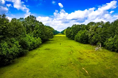 Tract 11 Pelican Road, Shepherd, TX 77371 - Photo 4