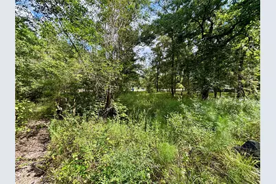 8560 County Line Road, Willis, TX 77378 - Photo 16
