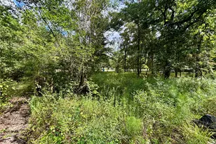 8560 County Line Rd, Willis, TX 77378 - Photo 16