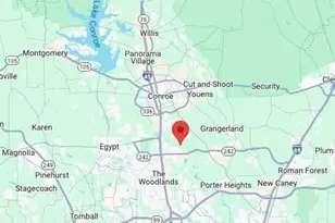 11008 Redbud Dr, Conroe, TX 77302 - Photo 2