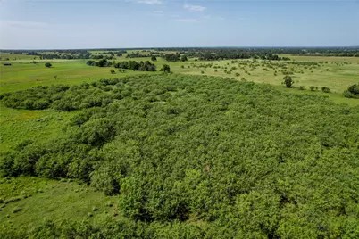 Tract 2 Cr 419, Bremond, TX 76629 - Photo 8