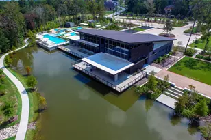 28217 Briarwood Pass, Spring, TX 77386 - Photo 44