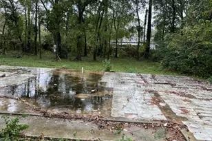 16539 Green Manor Dr, Houston, TX 77396 - Photo 12