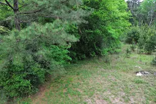7636 FM 2799, Jasper, TX 75951 - Photo 24