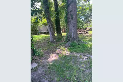 191 Sambo Lane, Livingston, TX 77351 - Photo 6