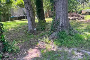 191 Sambo Ln, Livingston, TX 77351 - Photo 6